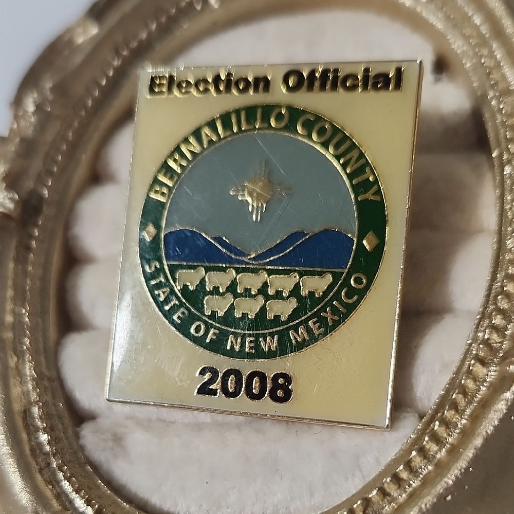 Bernalillo County Election Official Pin